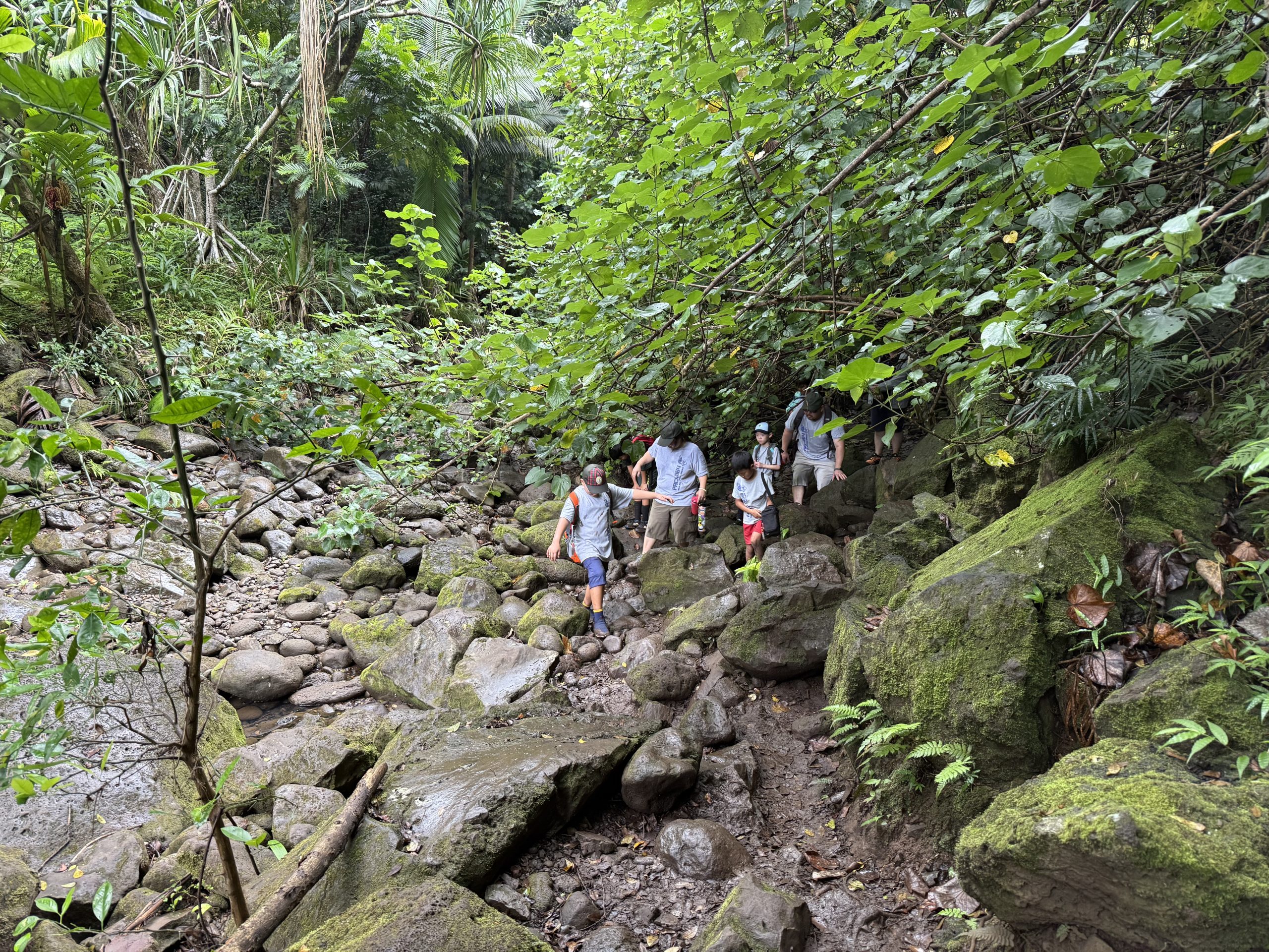 Featured image for “Waimano Trail Hike”